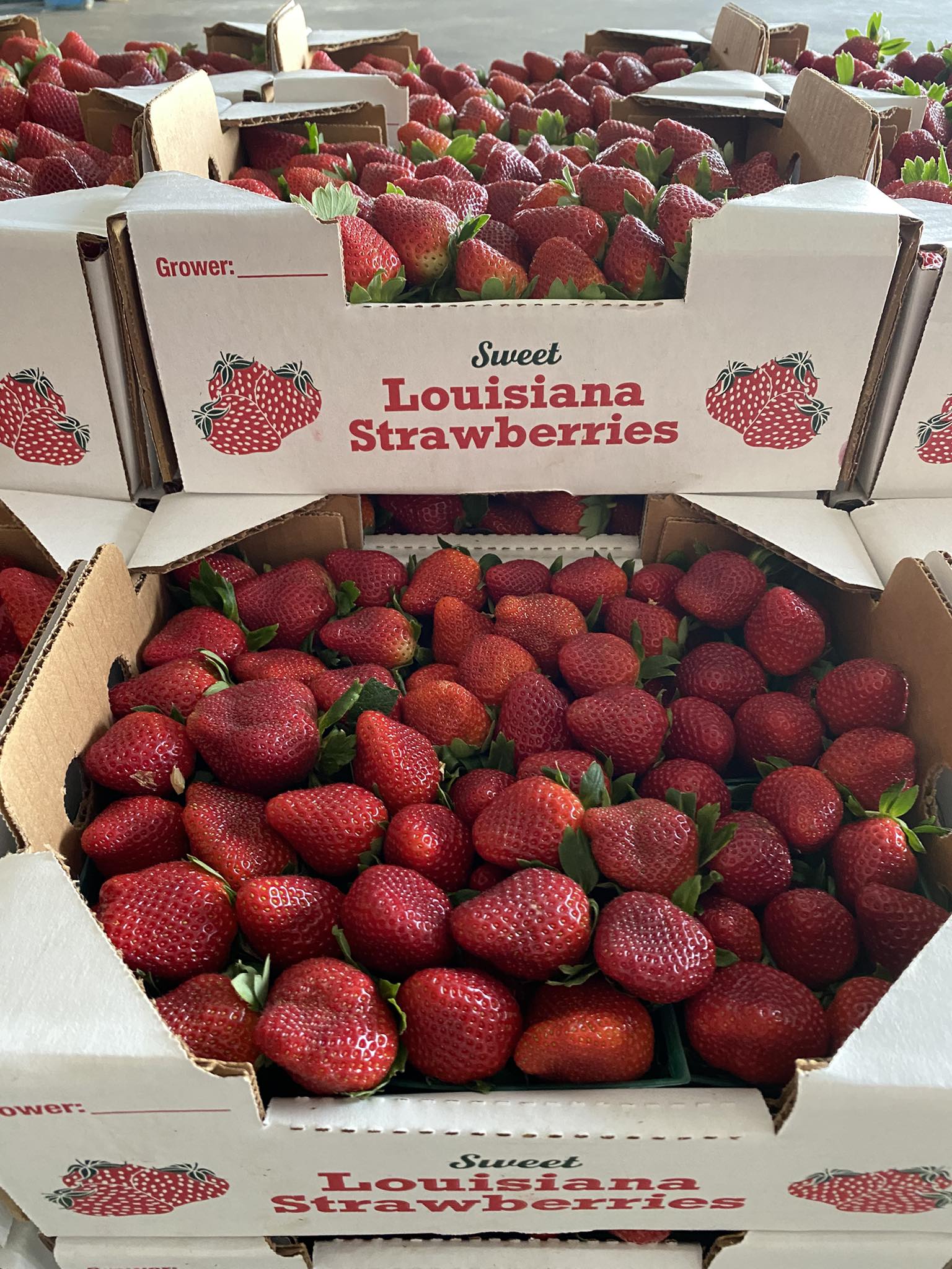 A box of strawberries.